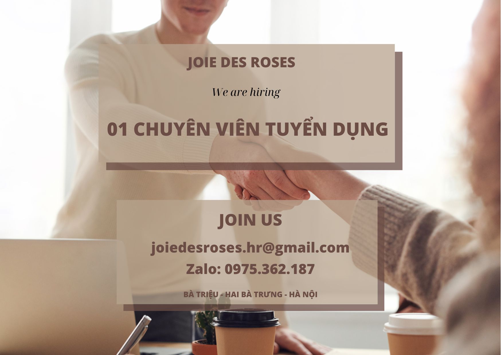lĩnh vực hoạt động